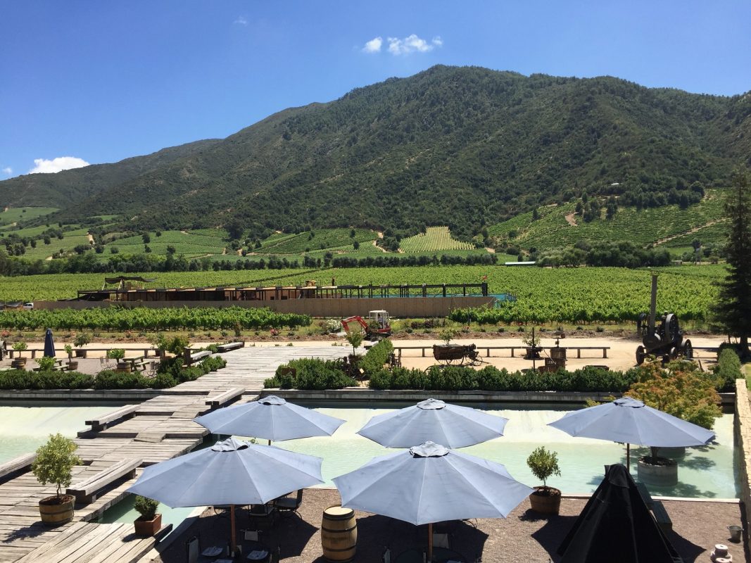 A Viña Montes, uma das mais conhecidas entre as cerca de 20 vinícolas da região, é uma pioneira em dry farming. Foto Carla Lencastre