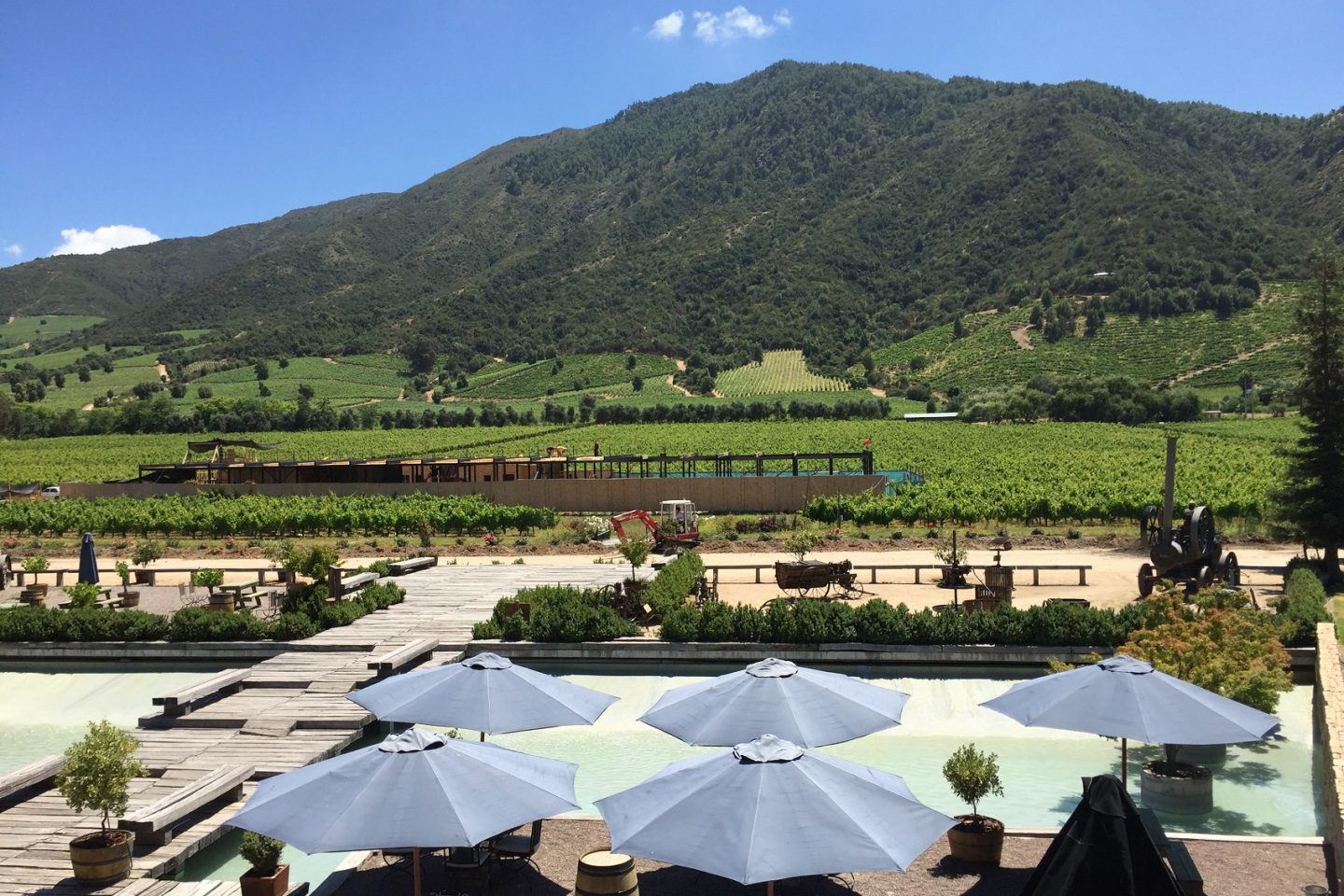 A Viña Montes, uma das mais conhecidas entre as cerca de 20 vinícolas da região, é uma pioneira em dry farming. Foto Carla Lencastre