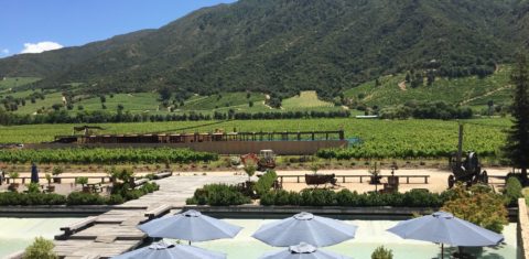 A Viña Montes, uma das mais conhecidas entre as cerca de 20 vinícolas da região, é uma pioneira em dry farming. Foto Carla Lencastre
