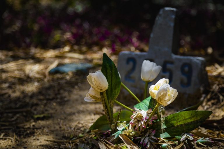 Cemitério dos Ajinhos. Foto de Márcio Menasce