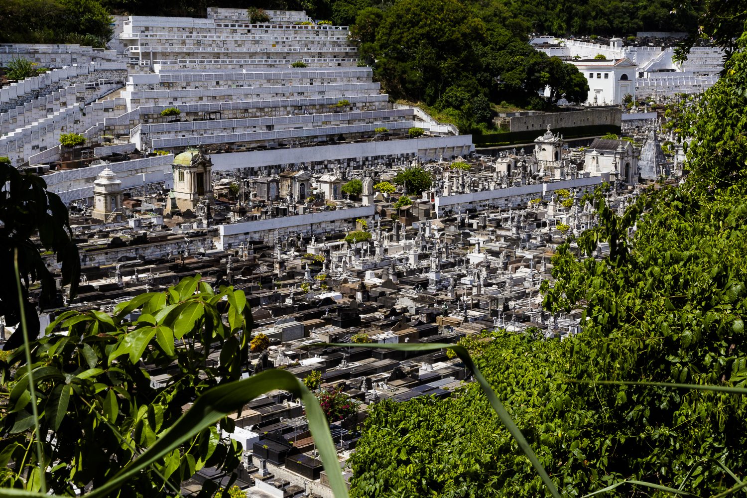 Cemitério dos Ajinhos. Foto de Márcio Menasce