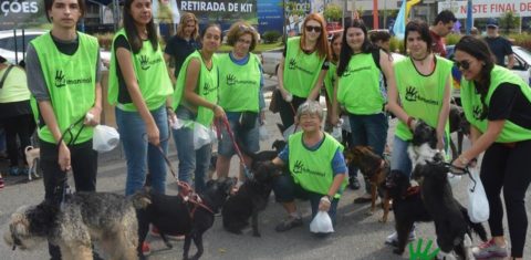 Humanimal participa de Cãominhada com crianças especiais em S. Bernardo de Campo. Foto de Divulgacao