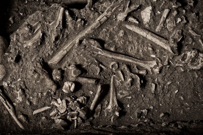 Muitos dos escravos morreram nos navios, antes de chegar ao Brasil. Foto de Alex Ferro