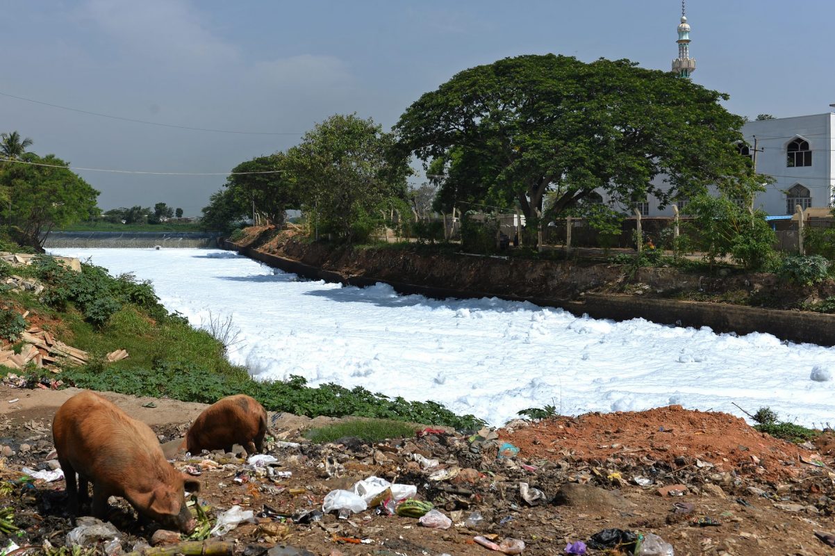 Lago de Bellandur poluido. Foto de Manjunath Kiran/ AFP
