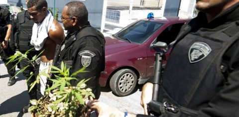 Policiais apreendem um vaso de maconha no morro do Alemão. Foto Antonio Scorza/AFP