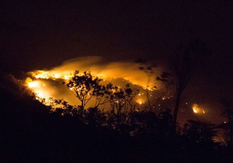 A falta de chuva, os ventos fortes e a alta temperatura, em torno de 37º C, contribuem para a expansão das chamas. Foto ICMBio