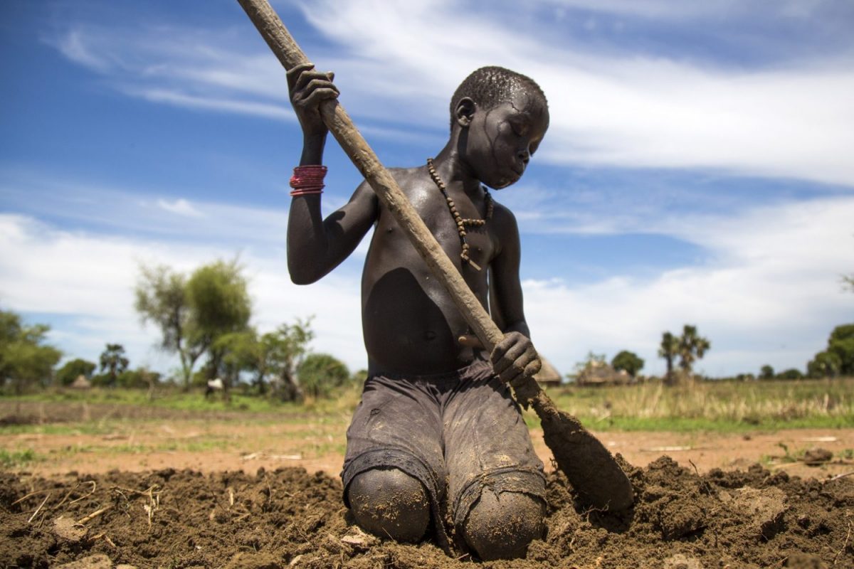 Jovem ajuda a família a preparar a terra para a plantação. O Sudão do Sul, onde vivem, é um dos países mais afetados pela fome no mundo. Foto Albert Gonzalez Farran/AFP