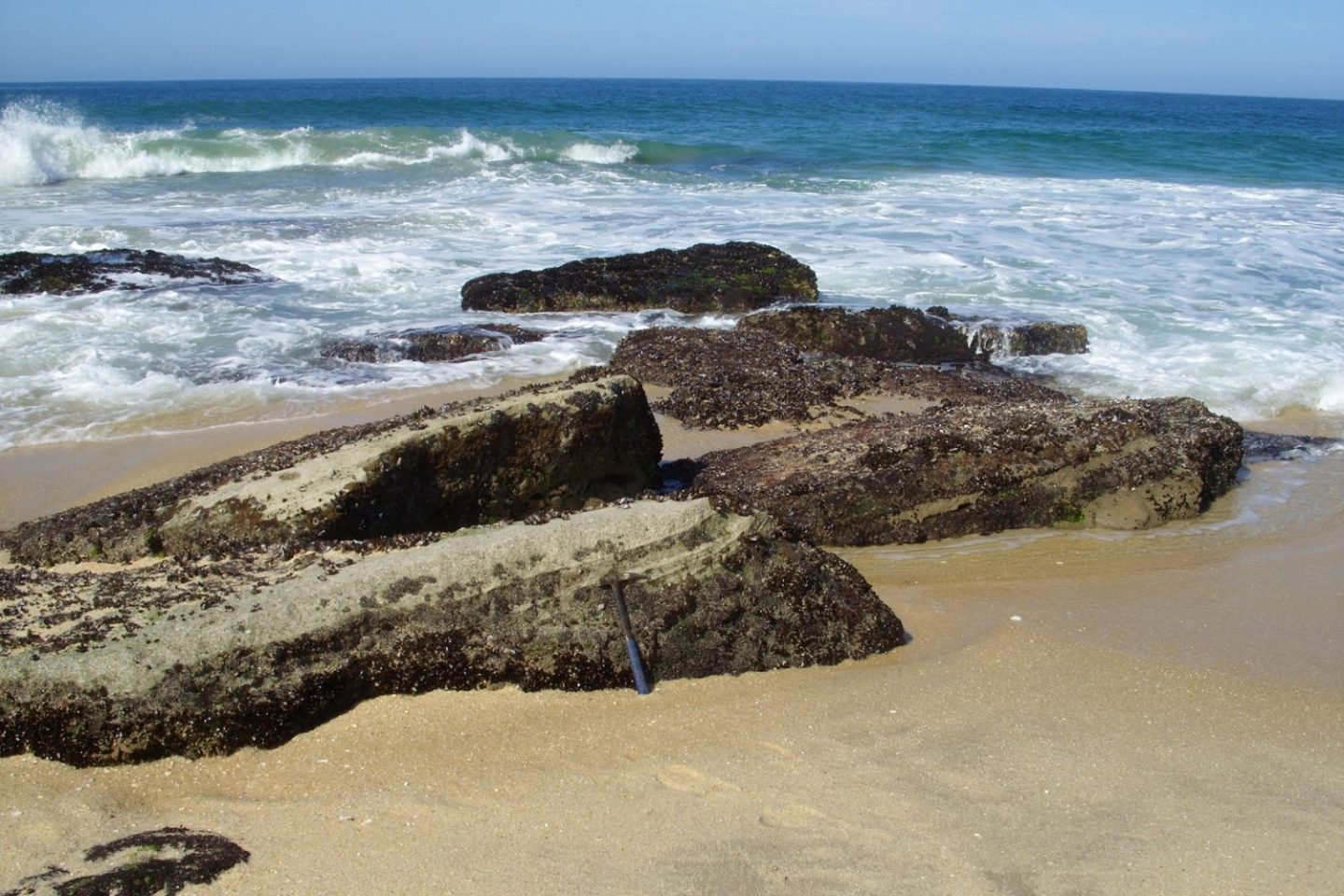 As rochas de Jaconé têm valor histórico para a ciência pois foram descritas por Charles Darwin, em 1832. Foto Kátia Leite Mansur/UFRJ