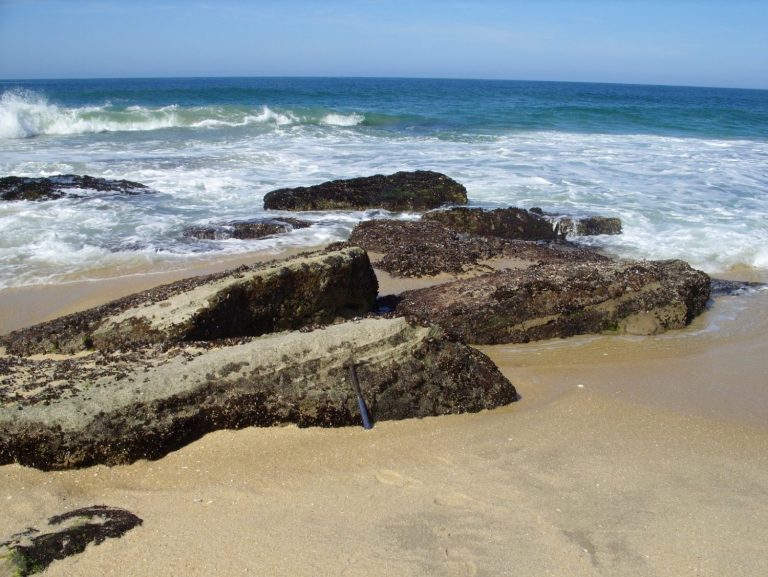 As rochas de Jaconé têm valor histórico para a ciência pois foram descritas por Charles Darwin, em 1832. Foto Kátia Leite Mansur/UFRJ