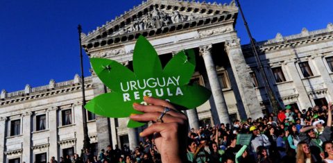 People take part in a demo for the legalization of marijuana in front of the Legislative Palace in Montevideo, on December 10, 2013, as the Senate discusses a law on the legalization of marijuana's cultivation and consumption. Uruguays parliament is to vote Tuesday a project that would make the country the first to legalize marijuana, an experiment that seeks to confront drug trafficking. The initiative launched by 78-year-old Uruguayan President Jose Mujica, a former revolutionary leader, would enable the production, distribution and sale of cannabis, self-cultivation and consumer clubs, all under state control. AFP PHOTO/ Pablo PORCIUNCULA / AFP PHOTO / PABLO PORCIUNCULA