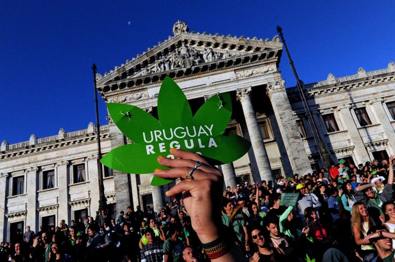 People take part in a demo for the legalization of marijuana in front of the Legislative Palace in Montevideo, on December 10, 2013, as the Senate discusses a law on the legalization of marijuana's cultivation and consumption. Uruguays parliament is to vote Tuesday a project that would make the country the first to legalize marijuana, an experiment that seeks to confront drug trafficking. The initiative launched by 78-year-old Uruguayan President Jose Mujica, a former revolutionary leader, would enable the production, distribution and sale of cannabis, self-cultivation and consumer clubs, all under state control. AFP PHOTO/ Pablo PORCIUNCULA / AFP PHOTO / PABLO PORCIUNCULA