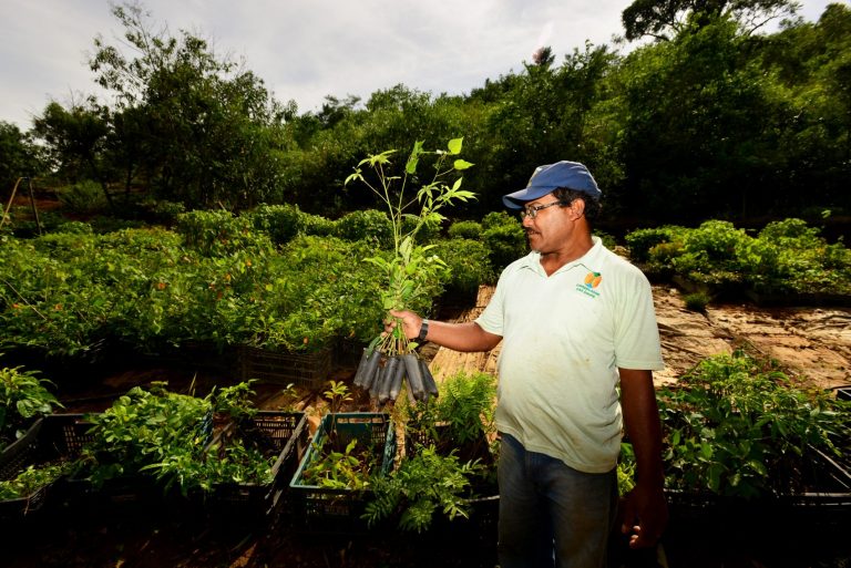 Viveiro de mudas do projeto Conservador das Águas. Foto de Mirian Fichtner