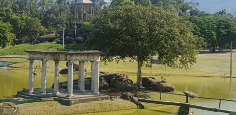A beleza da Quinta da Boa Vista, solitária durante a semana (Foto Oscar Valporto)