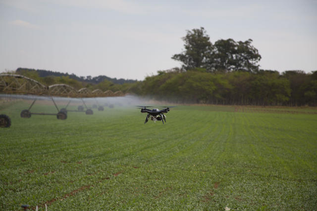 O uso de drones auxilia na captação de imagens que ajuda na análise do solo e da plantação. Foto: Embrapa