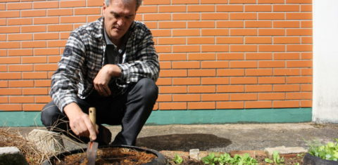 Germano Güntter e sua tecnica de microcompostagem ecologica. Foto de Divulgacao