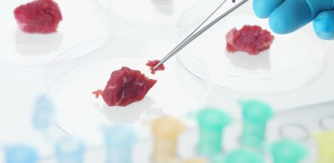 Em 2013, um hamburguer gerado em laboratório custava 325 mil dólares. Hoje custa 11,26 dólares. ABO / Science Photo Library