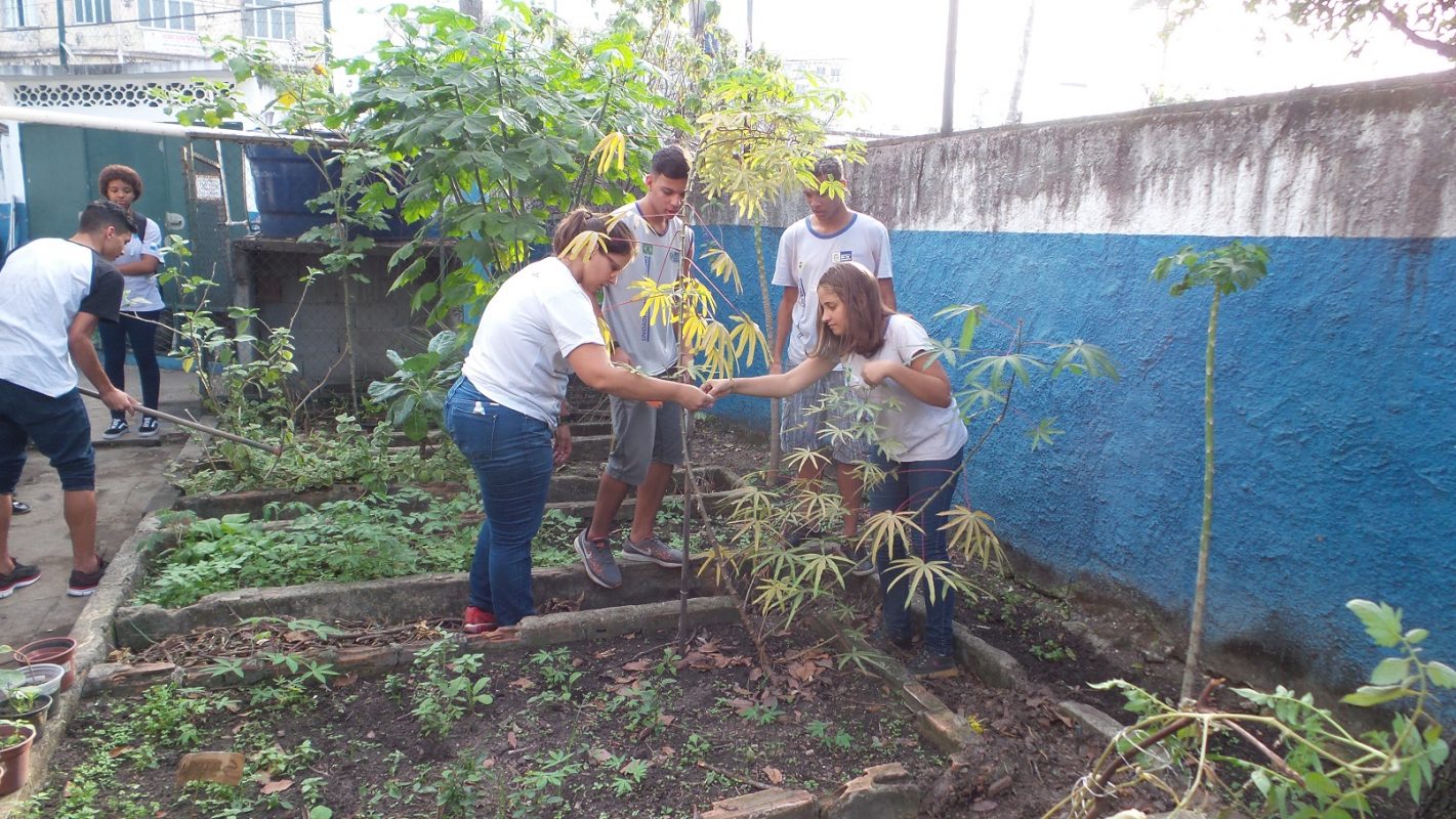 Alunos do Colégio Estadual Brigadeiro Schorcht, na Taquara, colhem as verduras plantadas por eles. Foto Elizabeth Oliveira