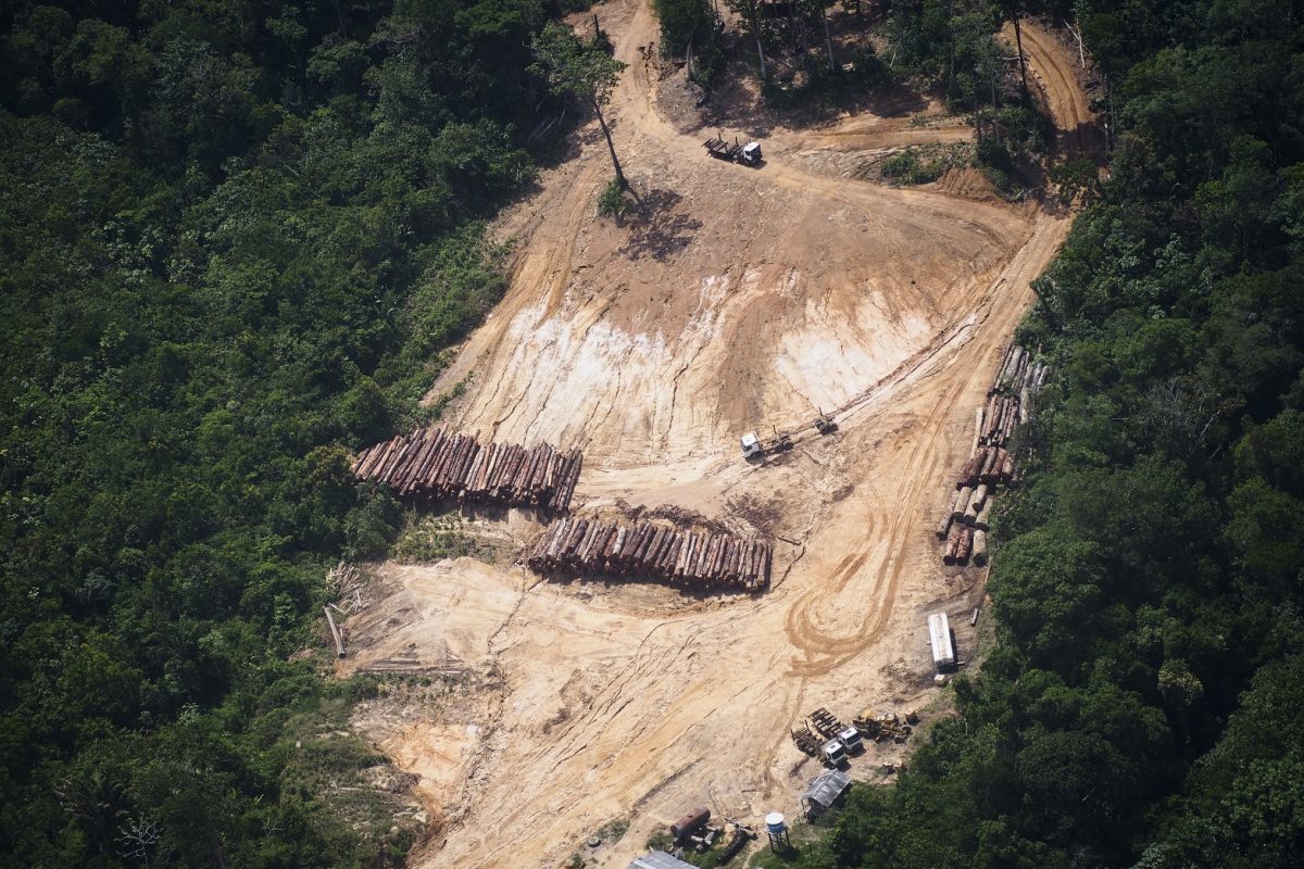 Visão aérea do desmatamento na Amazônia, próximo de Oriximiná, no Pará. Foto Raphael Alves/AFP