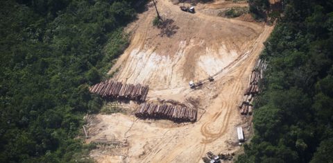 Visão aérea do desmatamento na Amazônia, próximo de Oriximiná, no Pará. Foto Raphael Alves/AFP