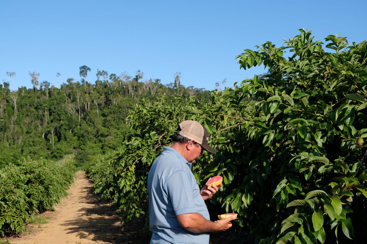 Tecnologia é aliada do uso consciente da água em lavoura no Espírito Santo