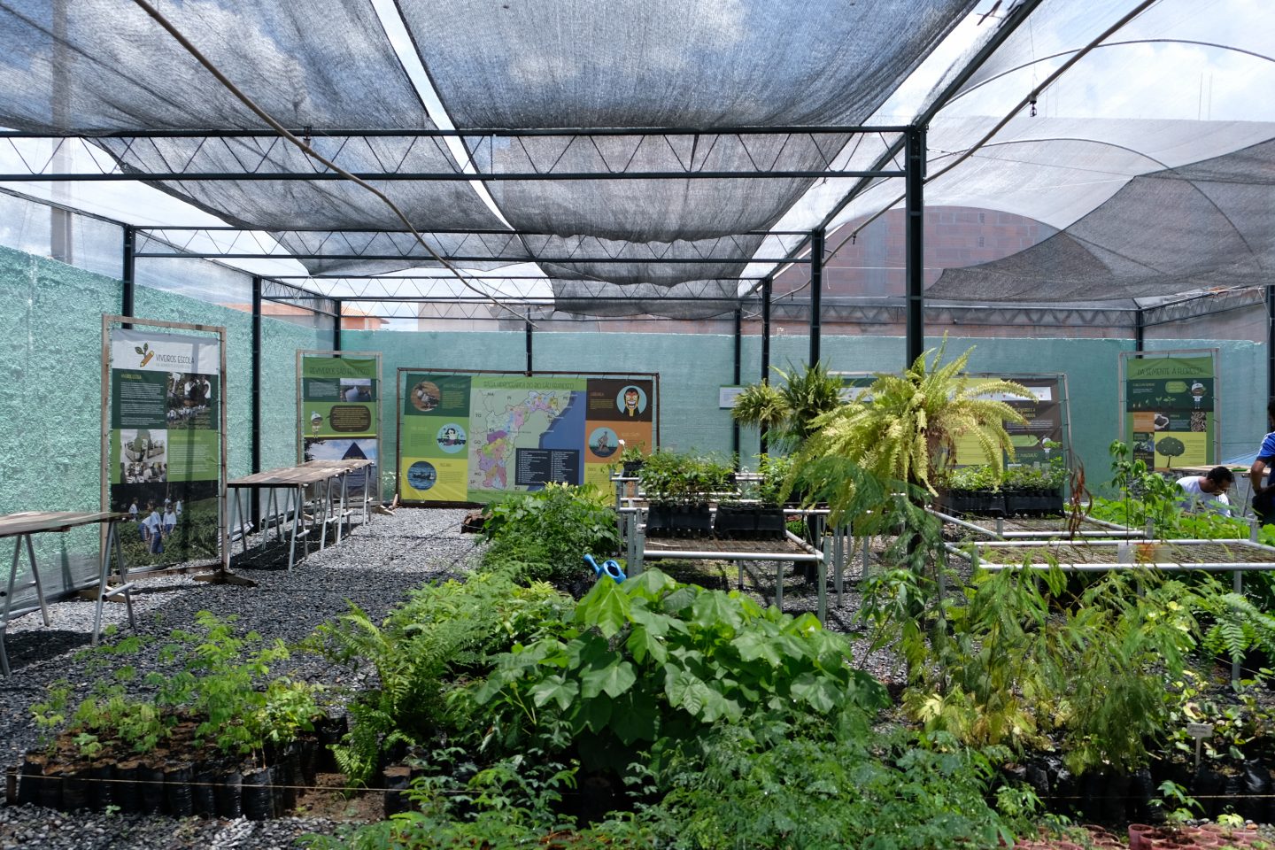 Agrônomo ensina crianças no sertão da Bahia a plantarem mudas de árvores e a valorizarem a natureza