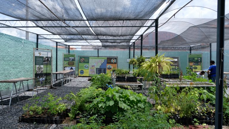 Agrônomo ensina crianças no sertão da Bahia a plantarem mudas de árvores e a valorizarem a natureza