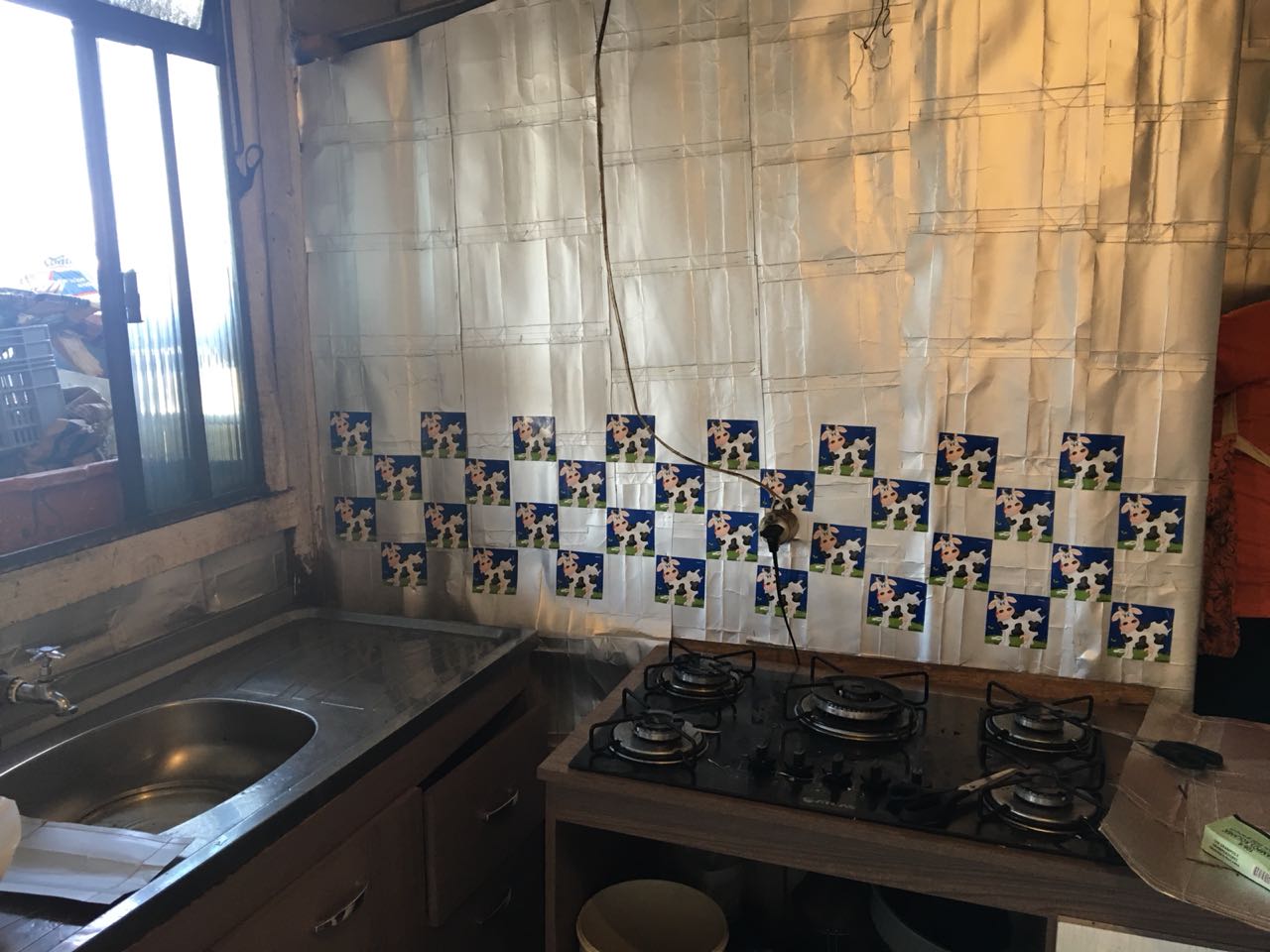 As placas feitas de caixas de leite usadas pela ong (Foto Raquel Semmke / divulgação)