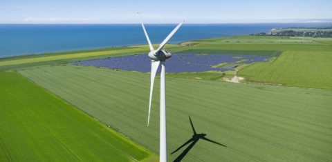 A criação de um mercado de carbono no Brasil para financiar as energias renováveis e o reflorestamento faz parte das propostas do CEBDS. Foto CORMON Francis / hemis.fr /Hemis