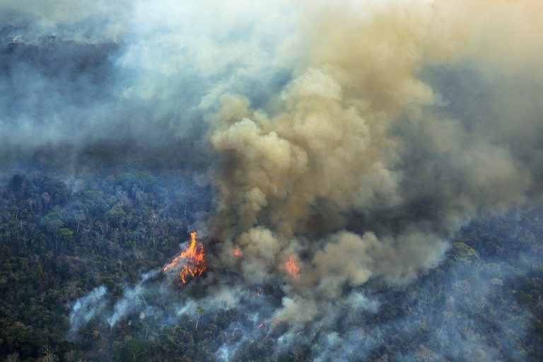 Dia do Meio Ambiente: Incêndios florestais na Amazônia, praga que se repete anualmente, estão em ritmo acelerado em 2019/2020 com aumento de grilagem e desmatamento (Foto Marizilda Cruppe/Greenpeace)