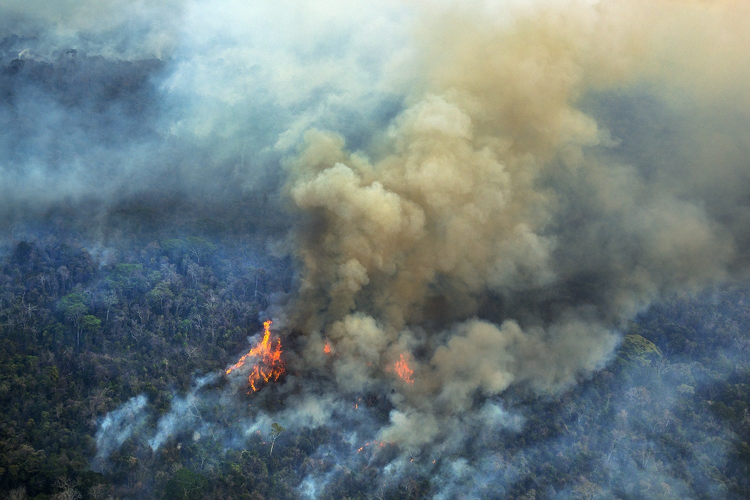 Imagens aéreas, feitas em 2015, mostram o incêndio florestal na Terra Indígena (TI) Arariboia, no Maranhão, onde vivem 12 mil Guajajaras e cerca de 80 indivíduos isolados do povo Awá-Guajá. Foto Marizilda Cruppe/Greenpeace.