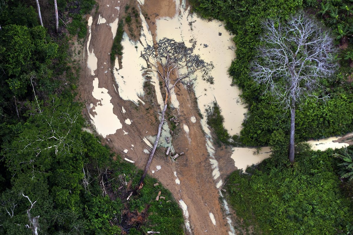 Desmatamento ilegal na área de Uruará, no Pará. Foto Marizilda Cruppe/Greenpeace
