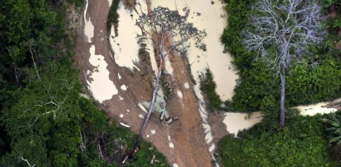 Desmatamento ilegal na área de Uruará, no Pará. Foto Marizilda Cruppe/Greenpeace