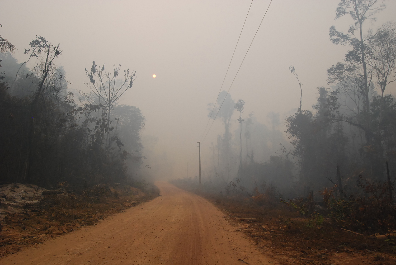 A fumaça dos incêndios se espalha na Amazônia (Foto Erika Berenguer)