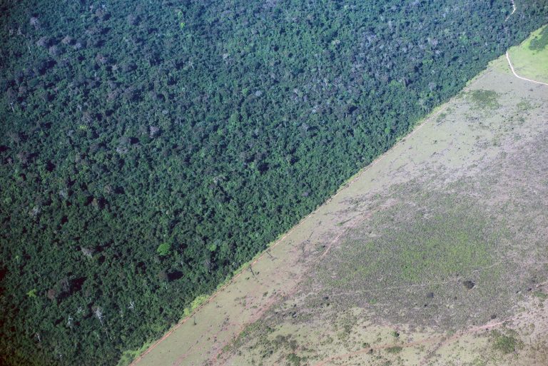 Área de desmatamento na Amazônia é interrompida às margens de uma reserva indígena no Pará. Foto Yasuyoshi Chiba/AFP