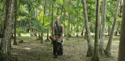 MG Calibre: “Vamos pra Amazônia/Vamos nos dar bem/ Muito jungle, muito money/O estrangeiro é rei”. Foto Divulgação