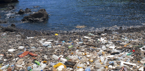 Denúncia de lixo no mar, não importa onde aconteça é problema (Sergio Hanquet/ Biosphoto/AFP)