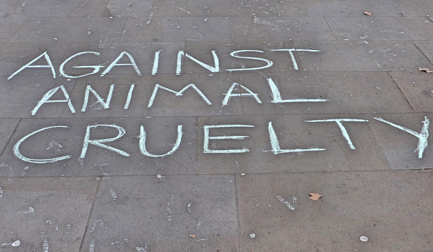 Em Londres, o protesto de ativistas contra a crueldade feita com os animais. Foto Gail Orenstein/NurPhoto