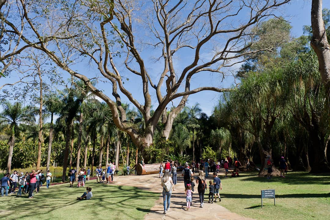 Inhotim: museu a céu aberto reúne arte contemporânea, jardim botânico e educação (Foto: Reprodução Instagram @inhotim)