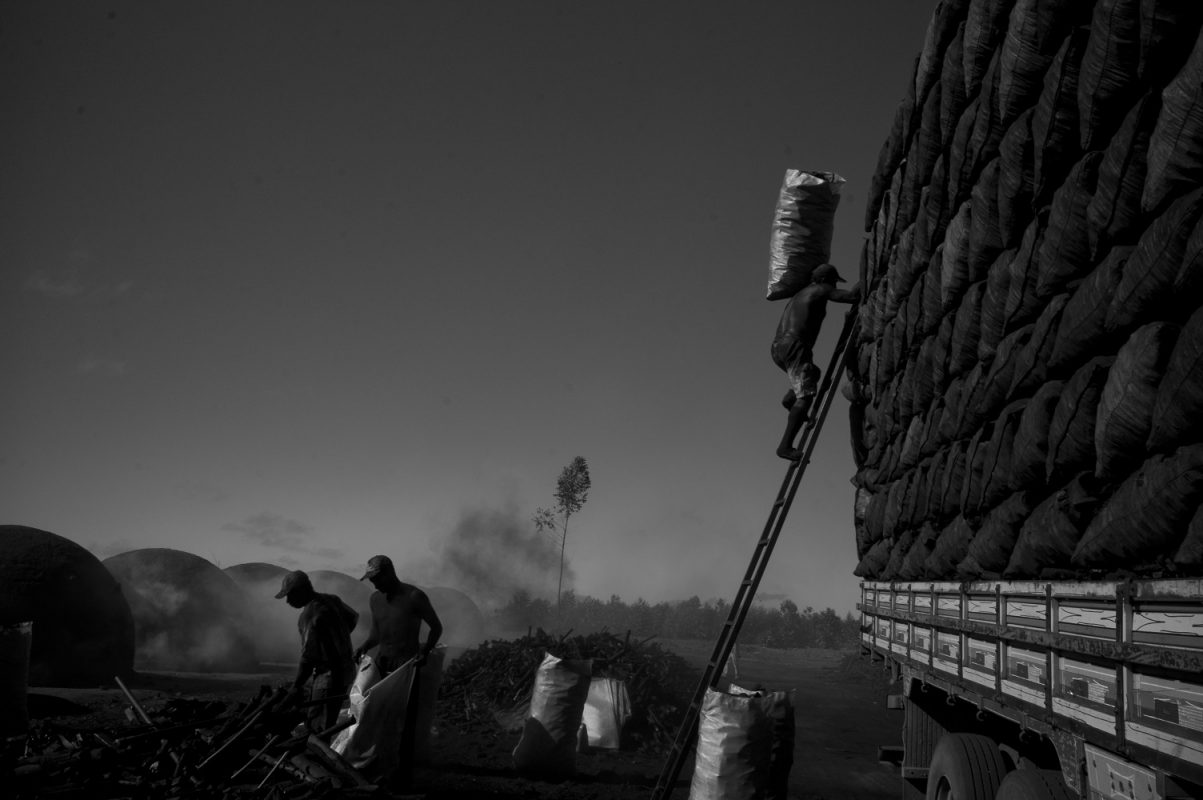Trabalhadores em área de produção de carvão: 168 pessoas libertadas de condições de trabalho análogas à escravidão em 2021 (Foto: João Roberto Ripper)