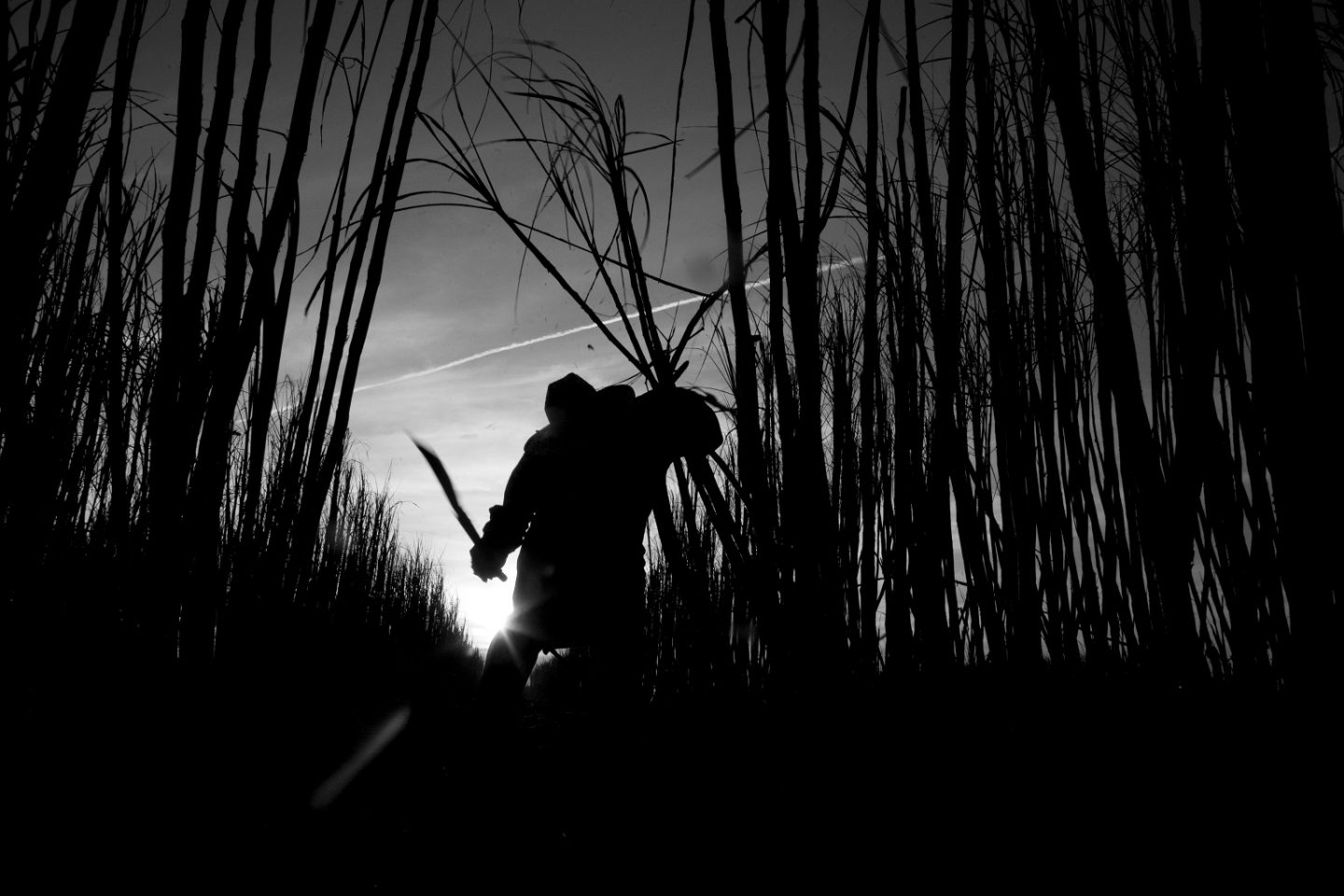 Perfil das vítimas de trabalho escravo demonstra que 45% dos trabalhadores maiores de 18 anos resgatados nunca possuíram um emprego formal antes (Foto: João Roberto Ripper)