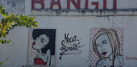 As molas bonitas pintadas no muro do Estádio Proletário Guilherme da Silveira: parte da história do Bangu e de Bangu (Foto: Oscar Valporto)