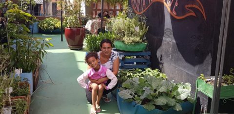 Natália com a filha Júlia: horta com manjericão, alface, rúcula e coentro na sua laje em Paraisópolis após passar pelo projeto (Foto: Florência Costa)