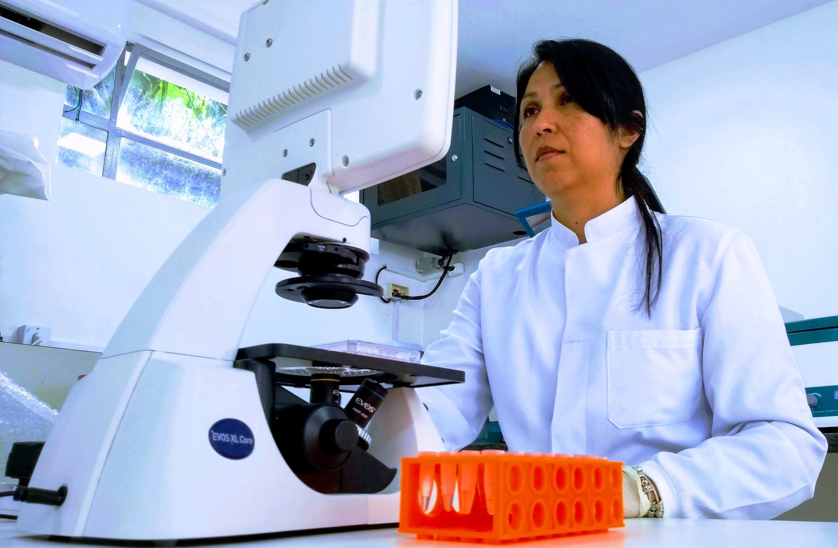 A pesquisadora Flora Milton no laboratório do campus da UFF em Nova Friburgo: pesquisa aponta para relação entre agrotóxicos e aumento de acúmulo de gordura no organismo (Foto Divulgação/UFF)