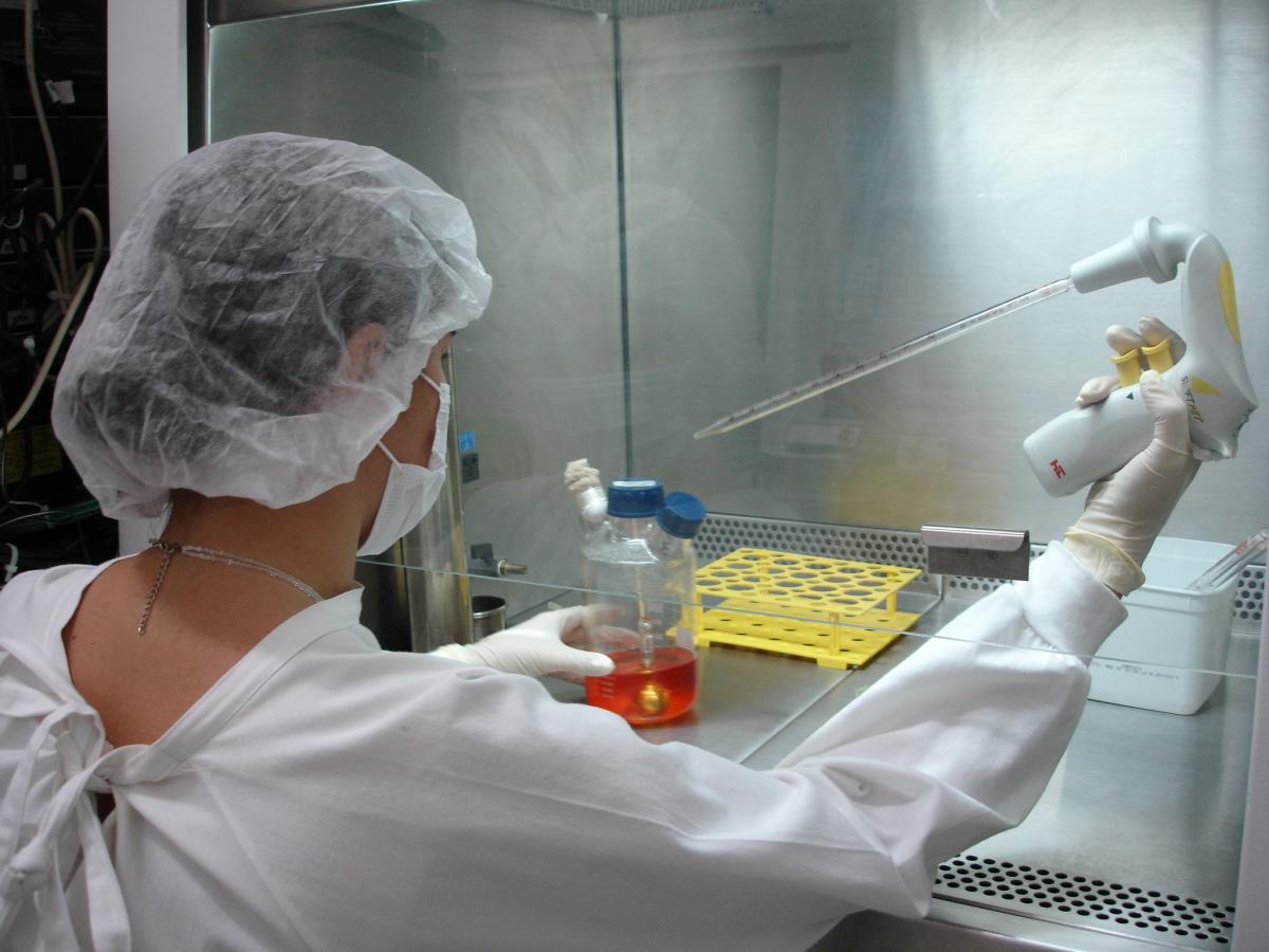 Laboratório de Biofármacos da Coppe/UFRJ: desenvolvimento de anticorpos para o tratamento de alto colesterol (Foto: Divulgação)
