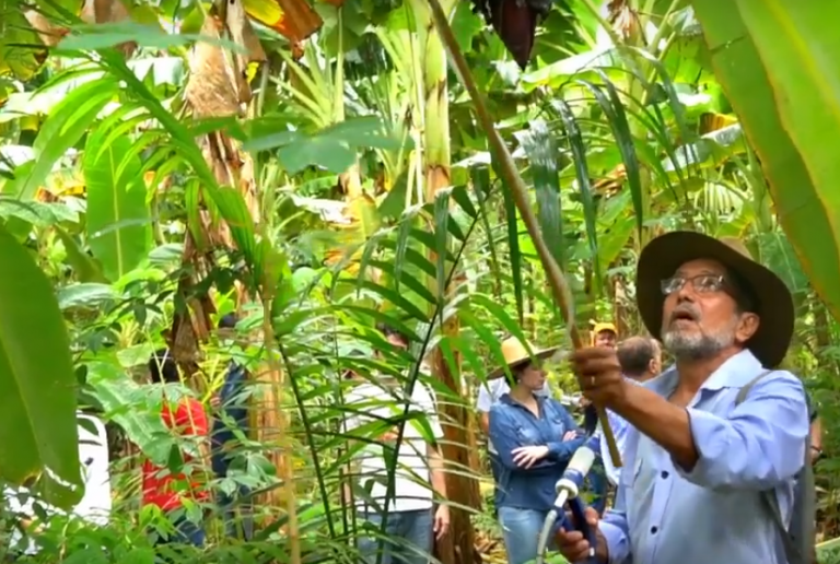 O agricultor Euid Moura aplica fertilizando localizadamente em sua lavoura: Agricultura de Precisão para reduzir a emissão de gases de efeito estufa (Reprodução)