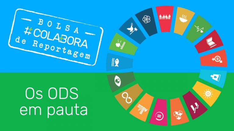 Bolsa #Colabora de Reportagem: candidatos terão até 5 de dezembro para suas pautas (Arte: Fernando Alvarus)