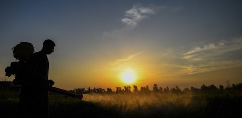 Cerca de 20% de todo o agrotóxico produzido no mundo é consumido no Brasil. Foto Mohamed el-Shahed(AFP)