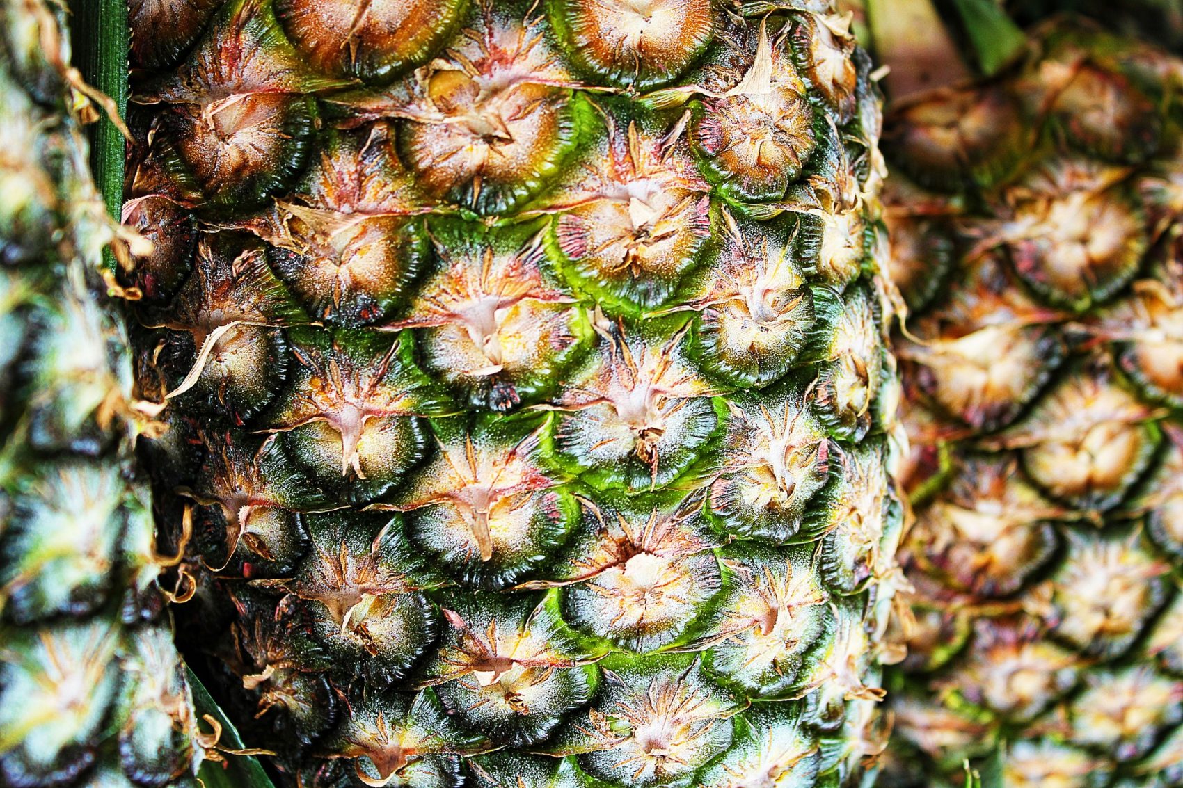 Enzima encontrada no abacaxi acaba de ter seu mecanismo de ação analgésica desvendado (Foto: Greg Montani/Pixabay)