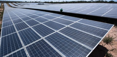 Painel fotovoltaico para produção de energia solar (Foto Divulgação)