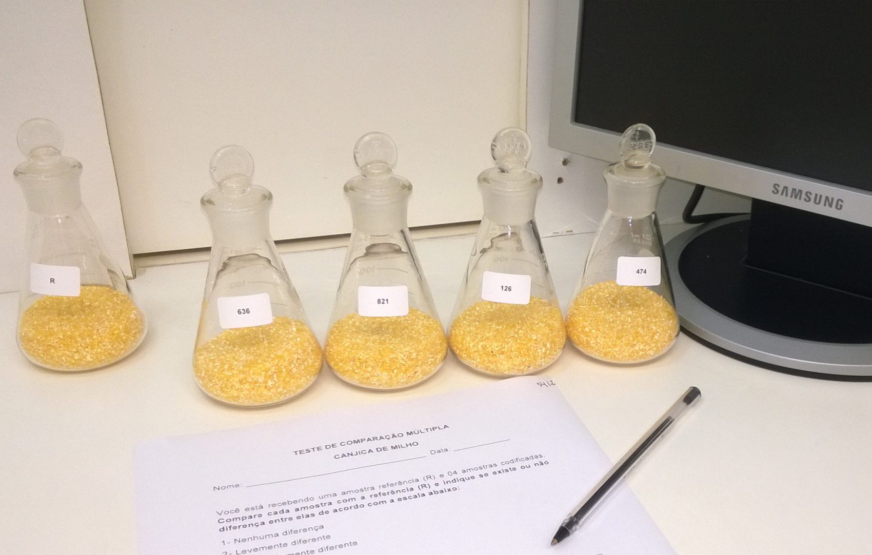 Grãos de milho separados para teste: pesquisadores da Embrapa usaram gás de ozônio para eliminar fungas (Foto: Divulgação/Embrapa)